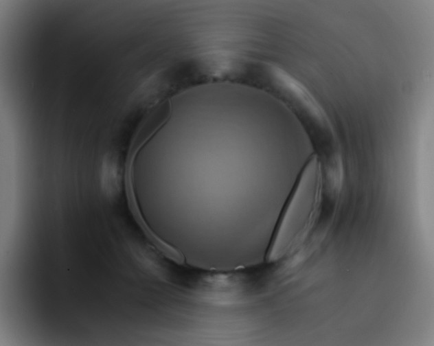 X0000093220558200710101347