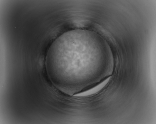 X0000093220559200710101347