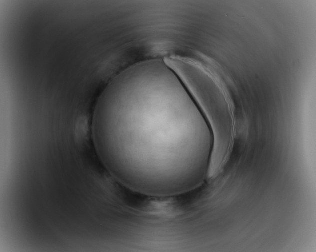 X0000093220560200710101347