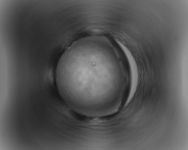 X0000093220562200710101347