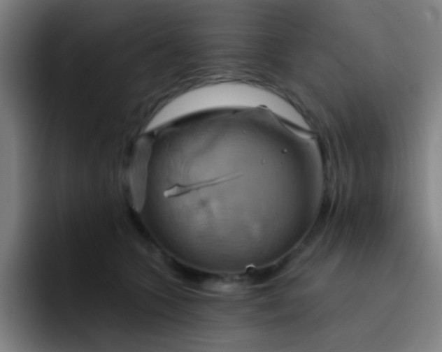 X0000093220563200710101347