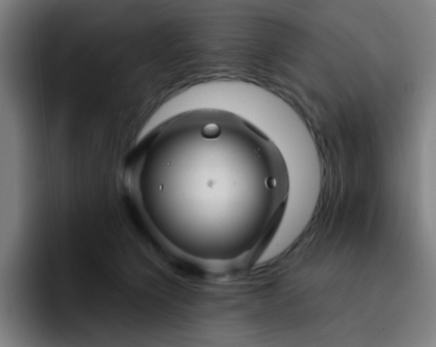 X0000093220564200710101347