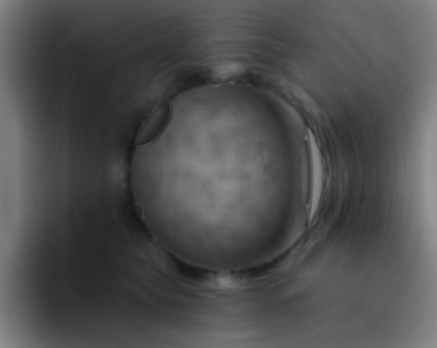 X0000093220565200710101347