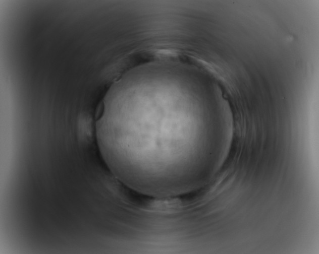 X0000093220571200710101347