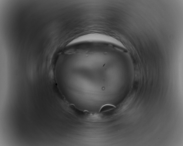 X0000093220573200710101347