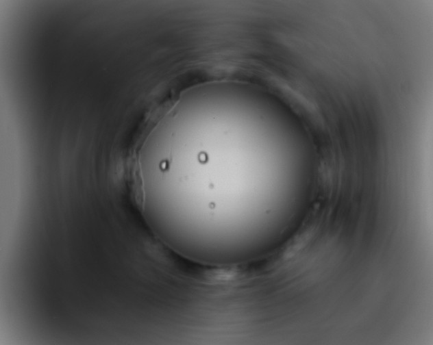 X0000093220574200710101347