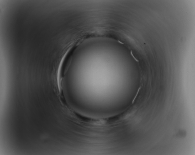 X0000093220576200710101347