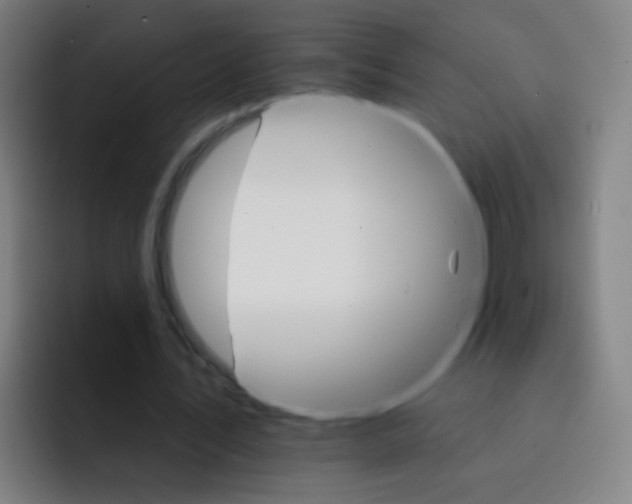 X0000093220579200710101347