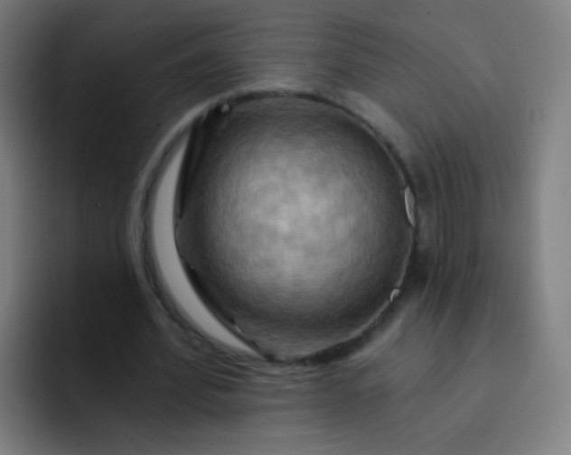 X0000093220580200710101347