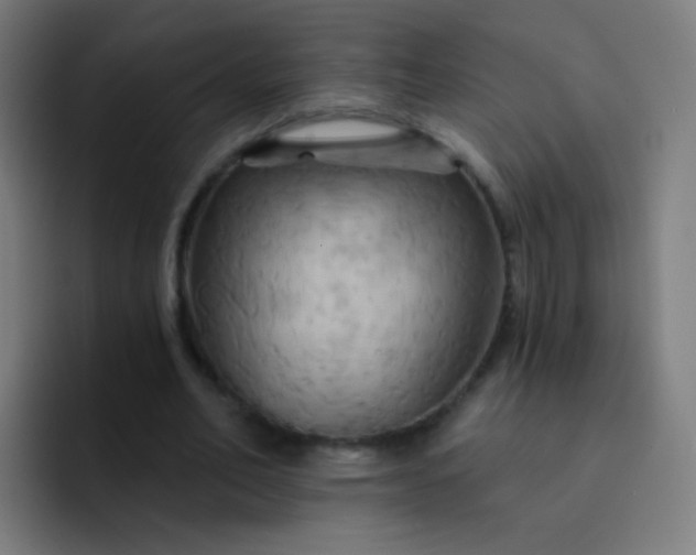 X0000093220582200710101346