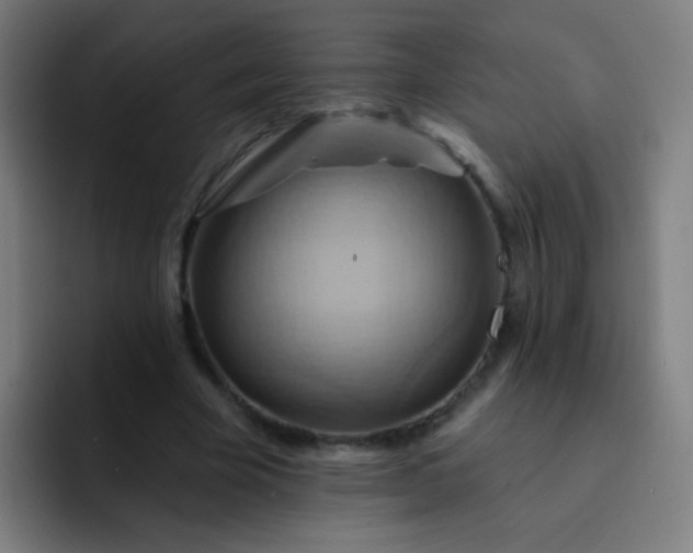 X0000093220585200710101346