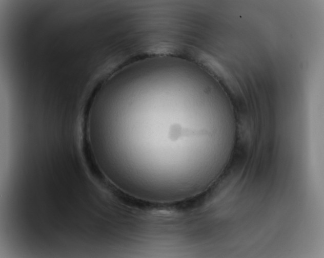 X0000093220586200710101346