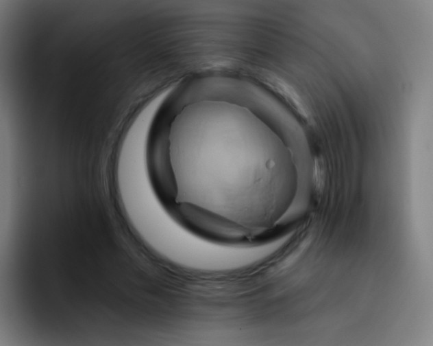 X0000093220589200710101346