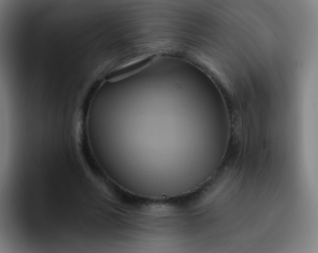 X0000093220590200710101346