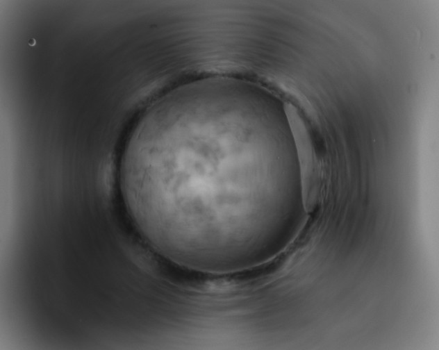 X0000093220591200710101346