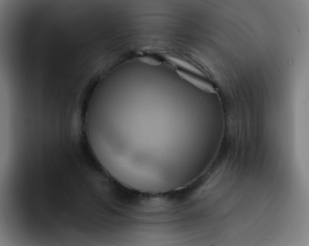 X0000093220594200710101346