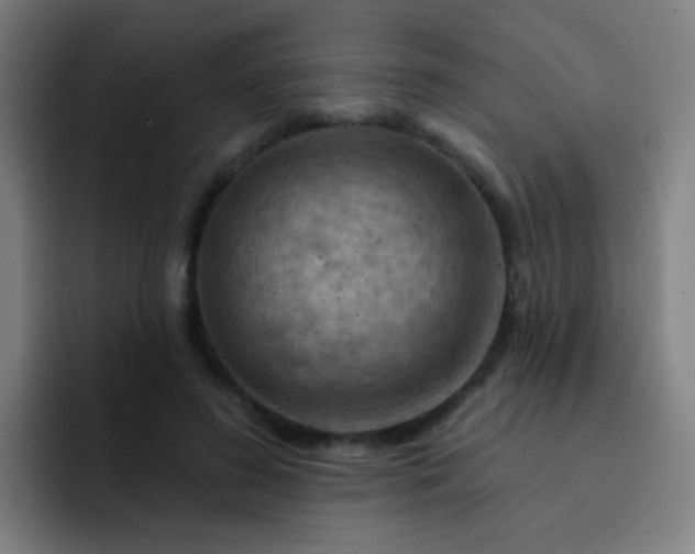 X0000093220596200710101346