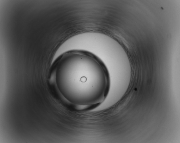 X0000093220597200710101346