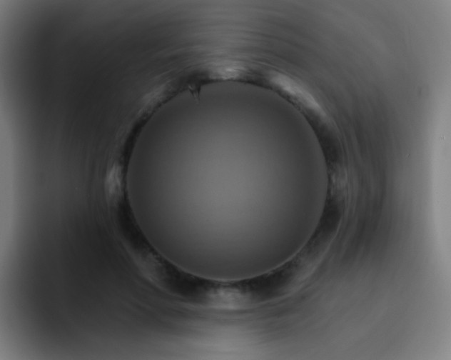 X0000093220598200710101346