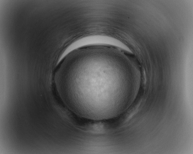 X0000093220600200710101346