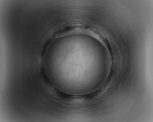 X0000093220601200710101346