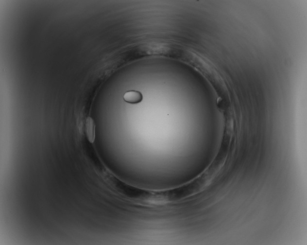 X0000093220604200710101346