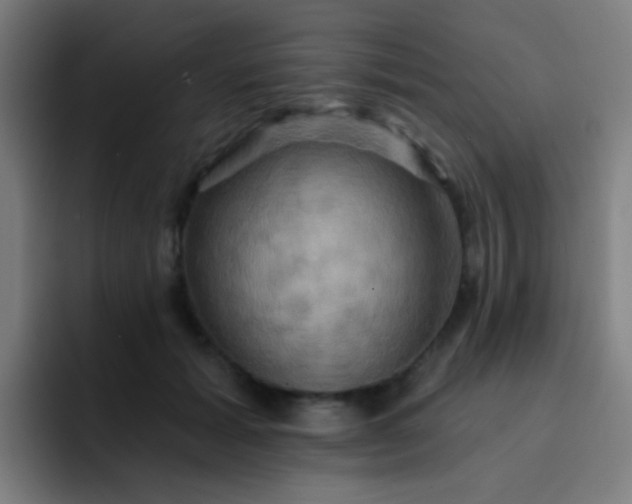 X0000093220605200710101346