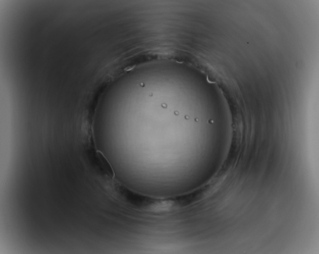 X0000093220609200710101346