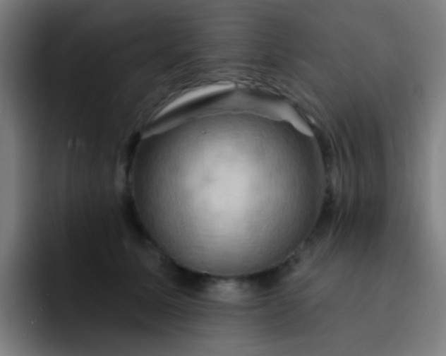 X0000093220611200710101346