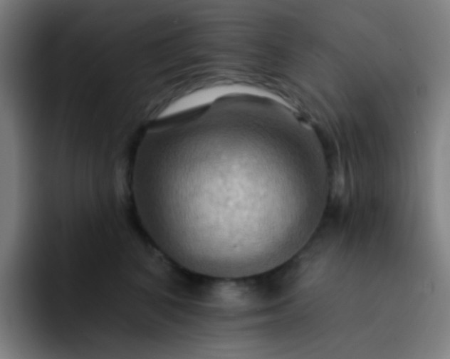 X0000093220616200710101346