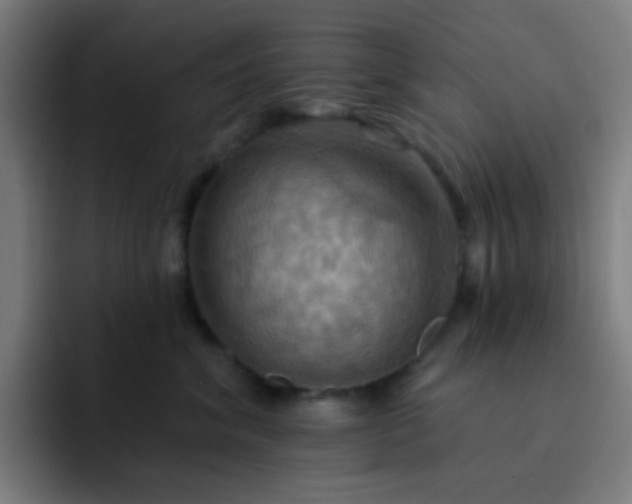 X0000093220620200710101346