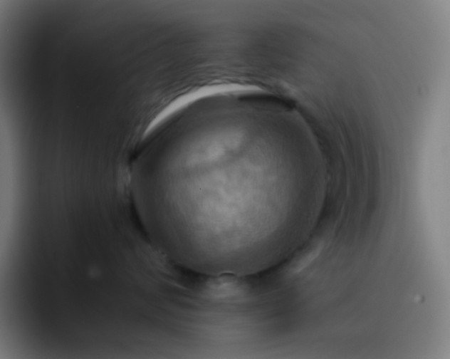 X0000093220624200710101346