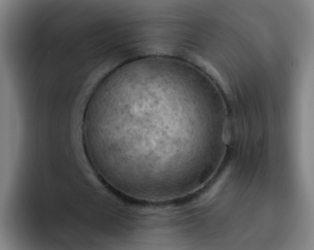 X0000093220625200710101345