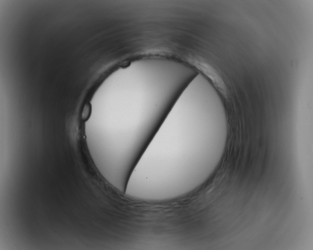 X0000093220628200710101345