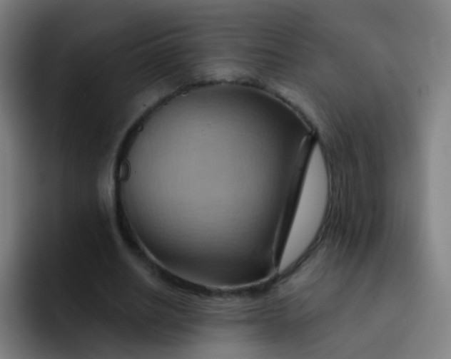 X0000093220630200710101345