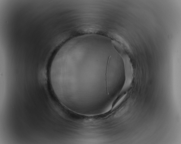 X0000093220634200710101346