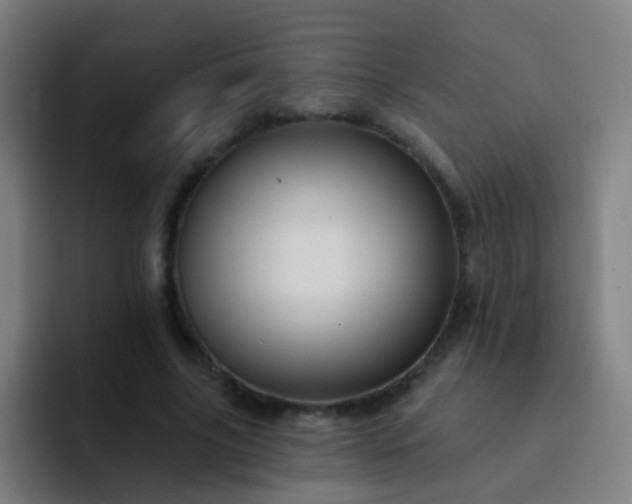 X0000093220635200710101346