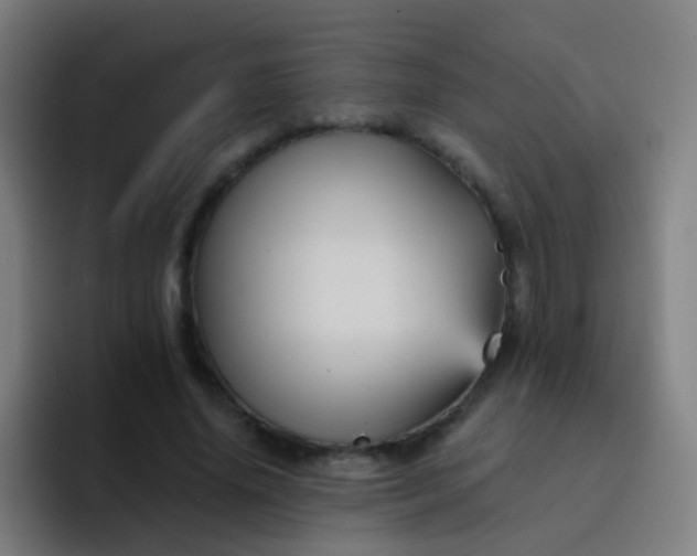 X0000093220636200710101346