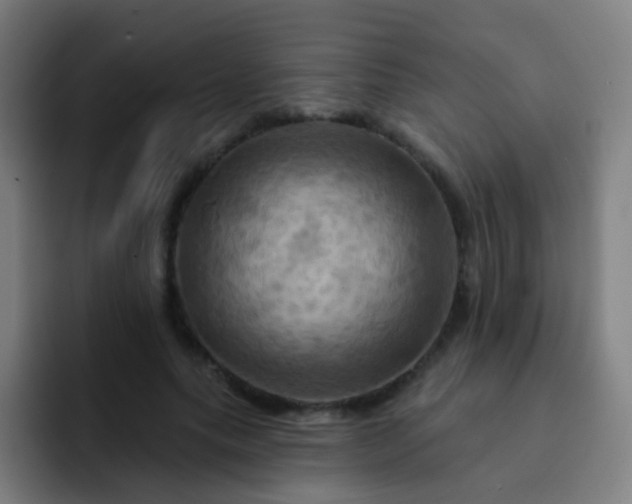 X0000093220639200710101346