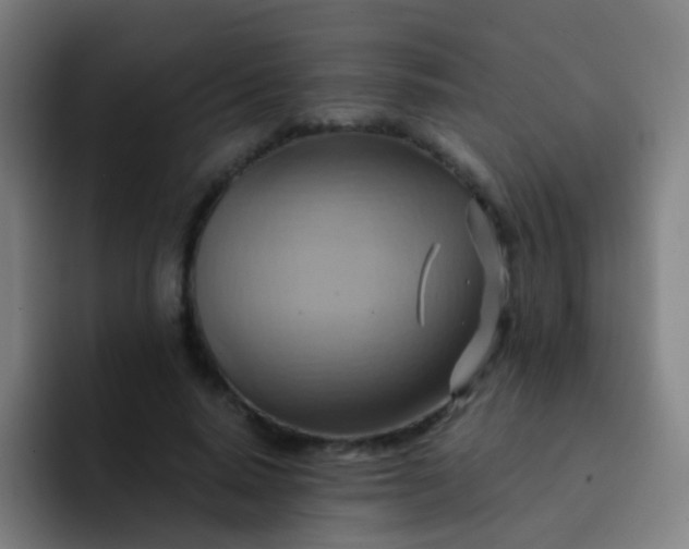 X0000093220640200710101346