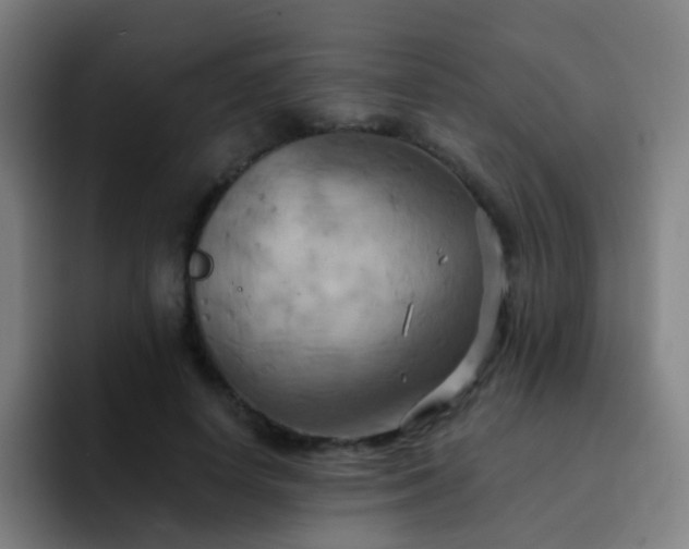 X0000093220642200710101346