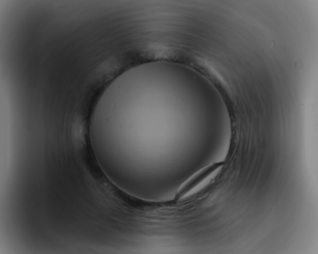 X0000093220643200710101346