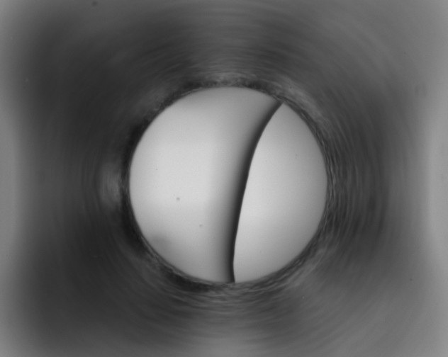 X0000093220644200710101346