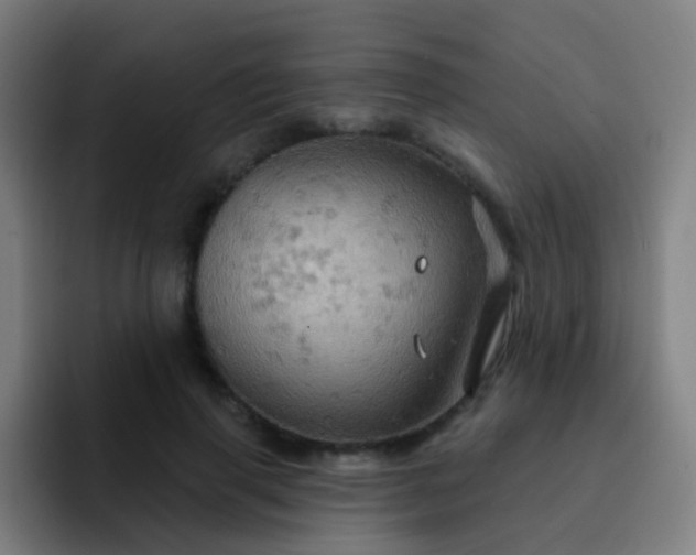 X0000093220645200710101346