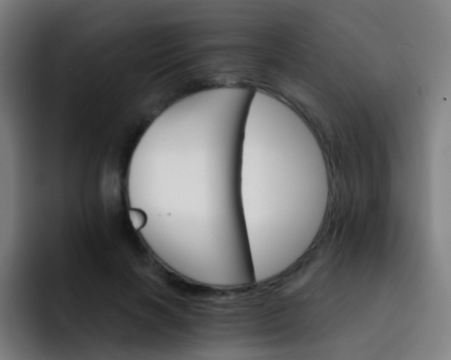 X0000093220646200710101346