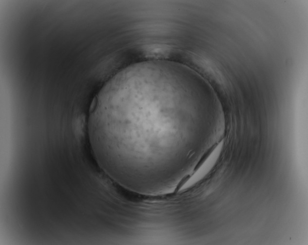 X0000093220649200710101346