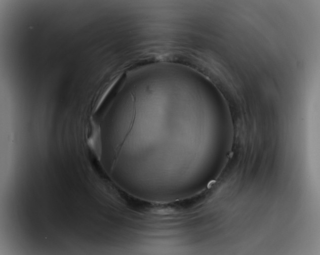 X0000093220650200710101346