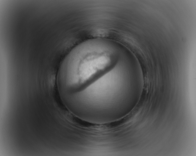 X0000093220652200710101346