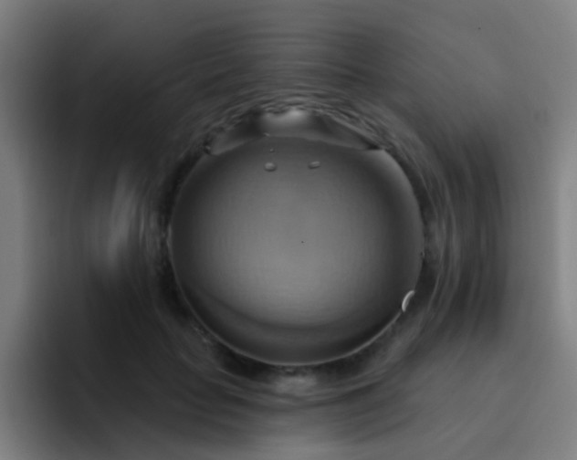 X0000093220653200710101346