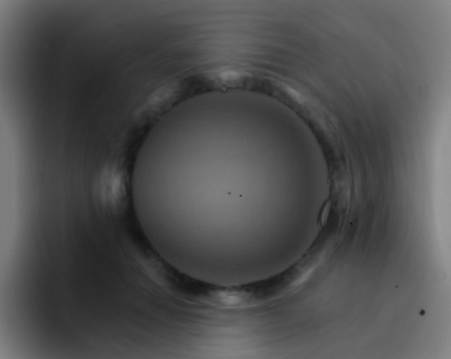 X0000093220654200710101346